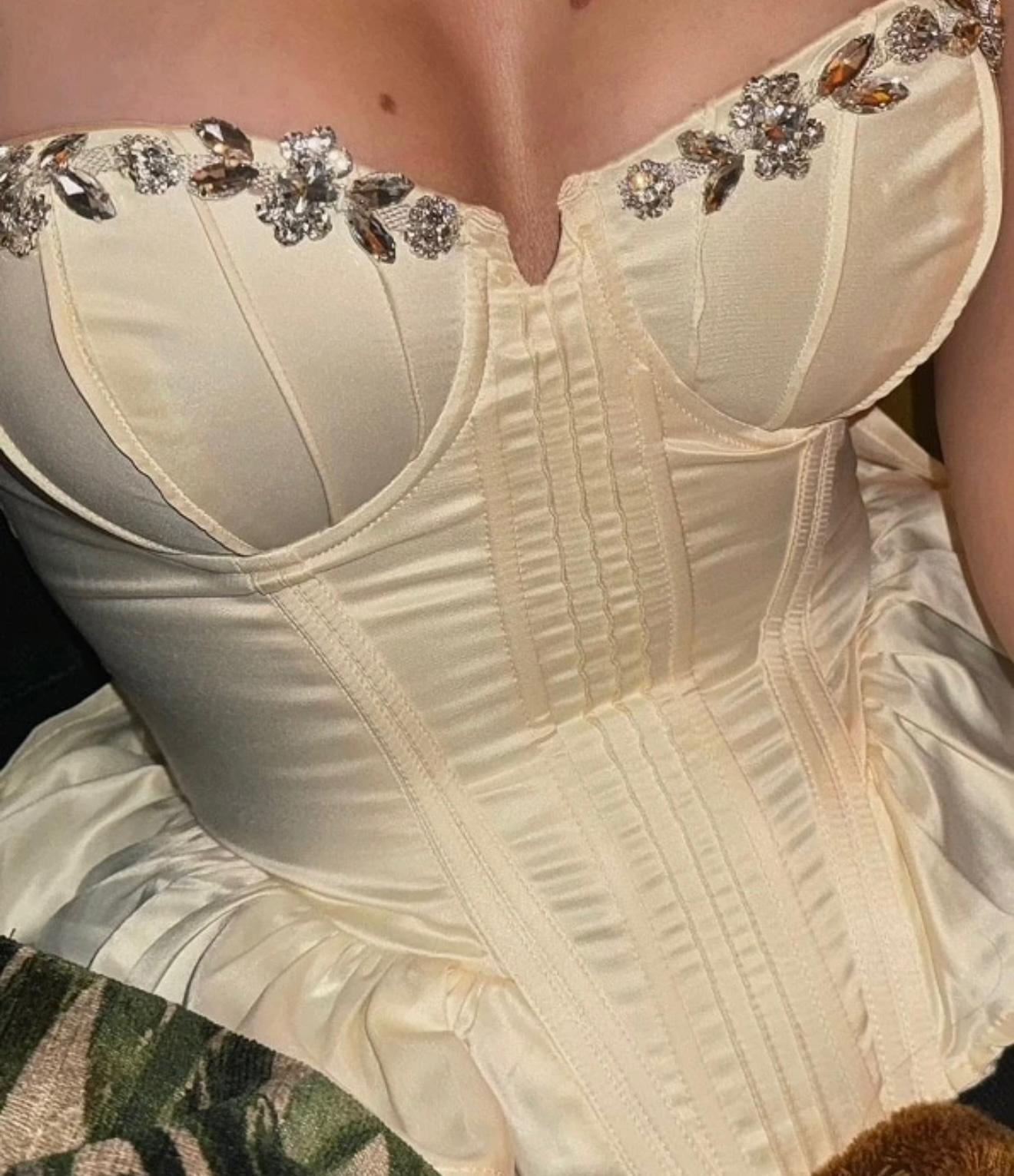 Corset Spring